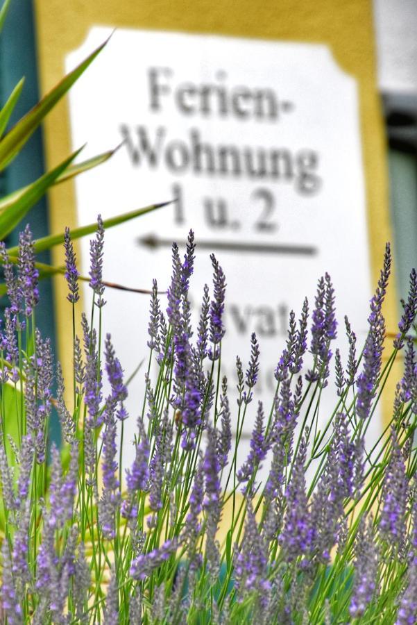 Pension Thermenland Fürstenfeld Esterno foto